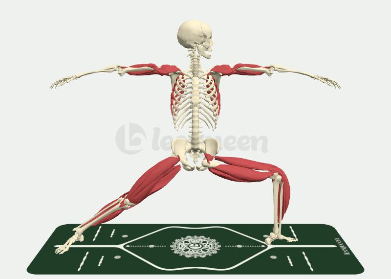 Mô hình Chiến binh II với nhóm cơ màu đỏ trên thảm Flora Leequeen