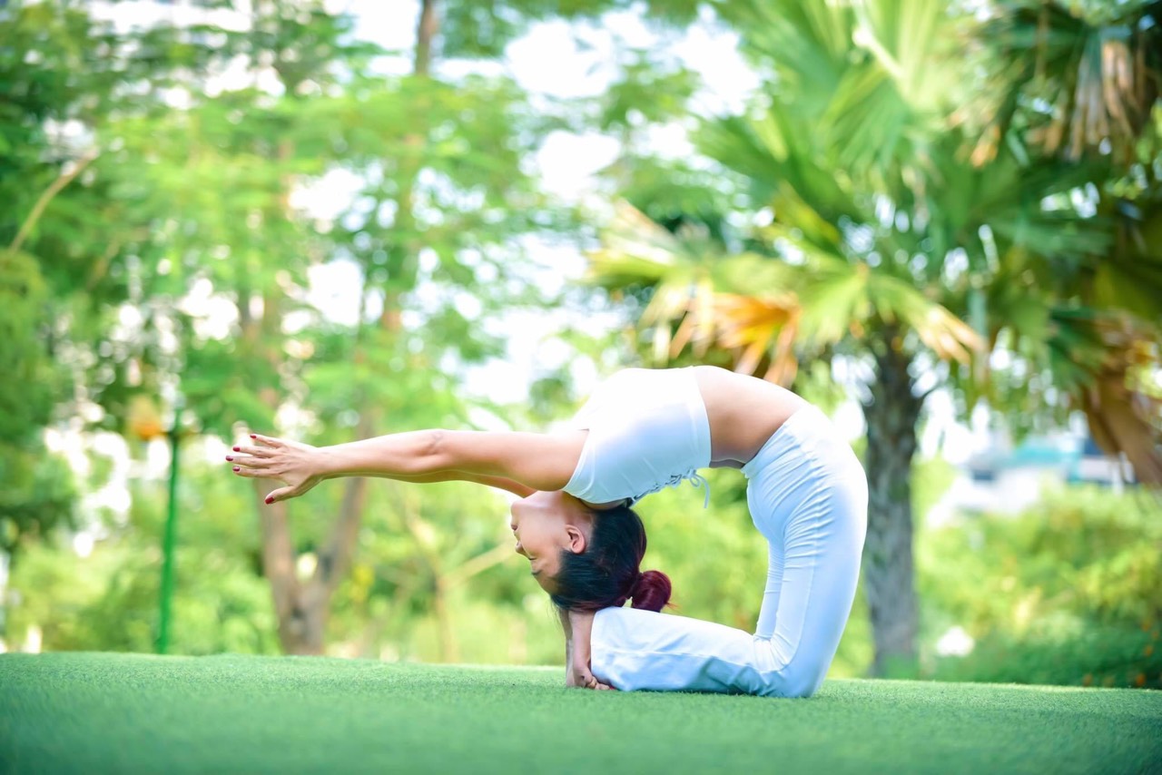 Ảnh đại diện ADYoga – Tăng Bạt Hổ
