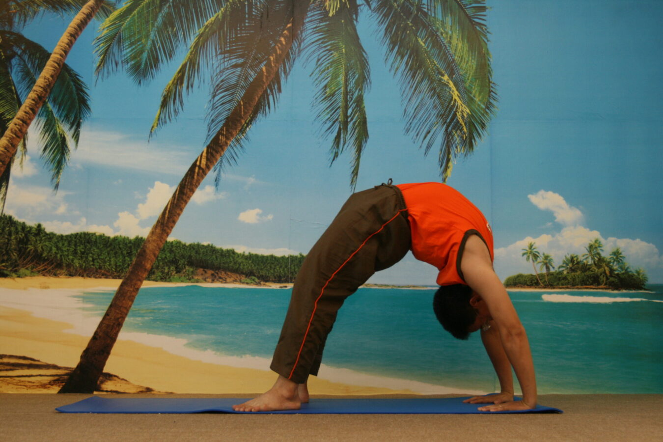 Hình ảnh ADYoga – Tăng Bạt Hổ 2