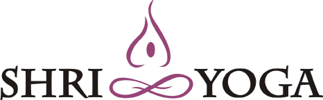 Hình ảnh Shriyoga Vietnam School – Quận 3 4